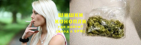 прущие грибы Михайлов