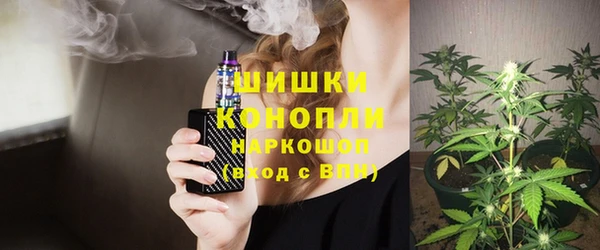 прущие грибы Михайлов