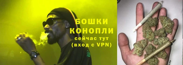 прущие грибы Михайлов