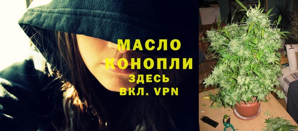 мдпв Тавда