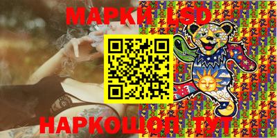 прущие крисы Гатчина