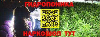 прущие крисы Гатчина