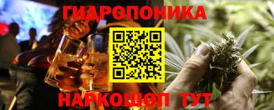 прущие крисы Гатчина