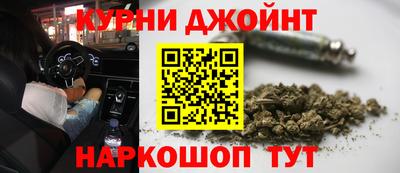прущие крисы Гатчина