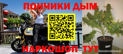 прущие крисы Гатчина