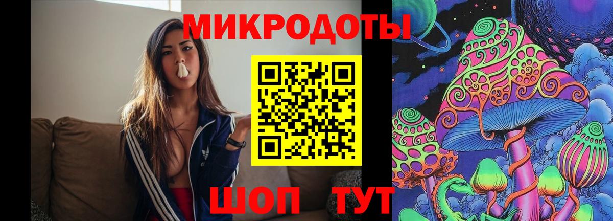 что такое   Краснодар  Галлюциногенные грибы Psilocybe 